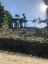  fotos/imovel_pequeno/2de683c1bf53682c889d505b9a22f4ea.JPEG 